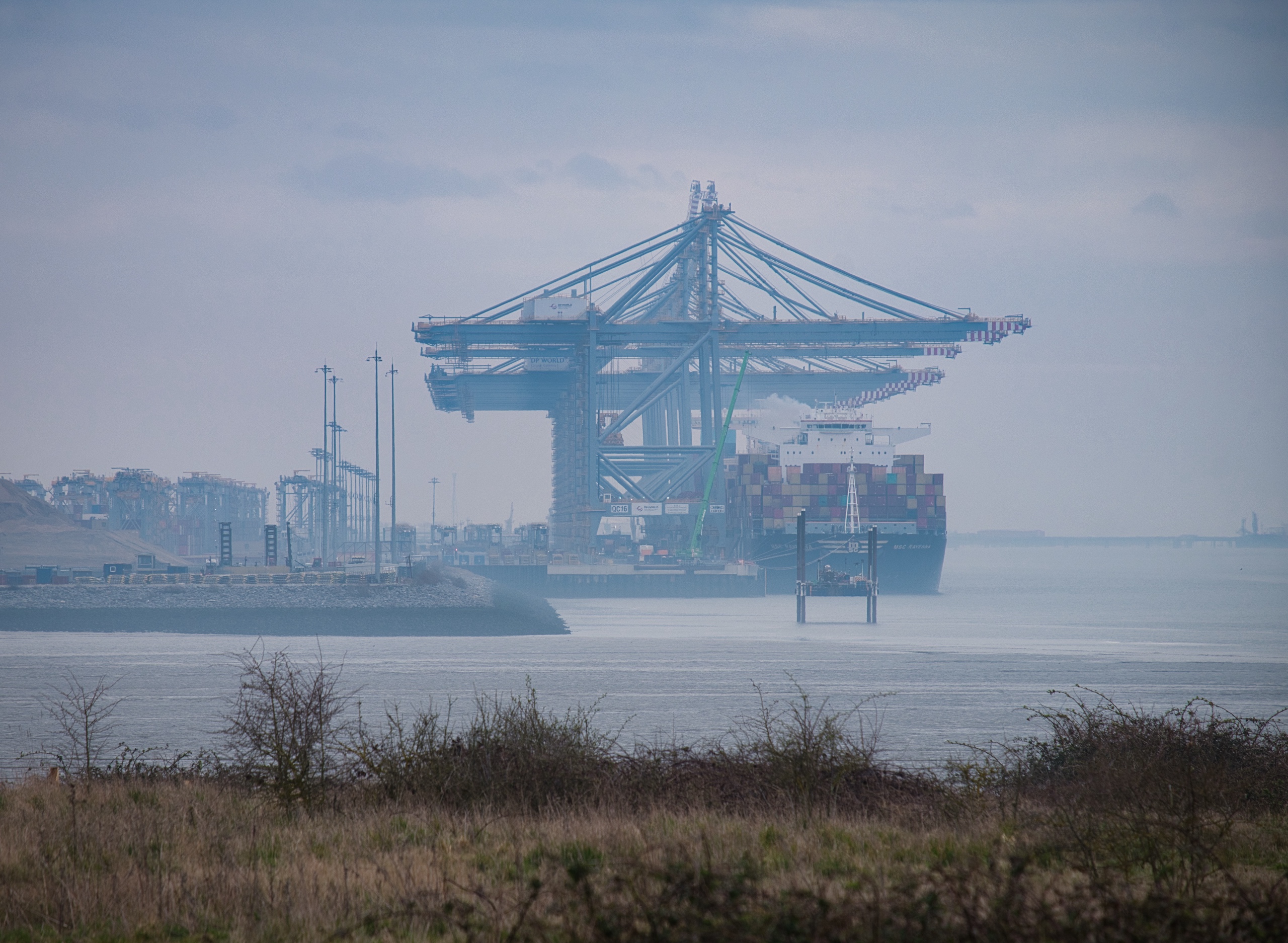 Thameside Nature Reserve